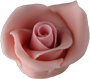  Nagy rózsa rózsaszín