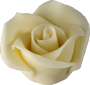  Nagy rózsa fehér