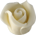  Kis rózsa fehér