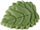Kis levél