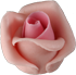  Kis rózsa rózsaszín