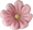 Apró virág rózsaszín