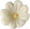 Apró virág fehér