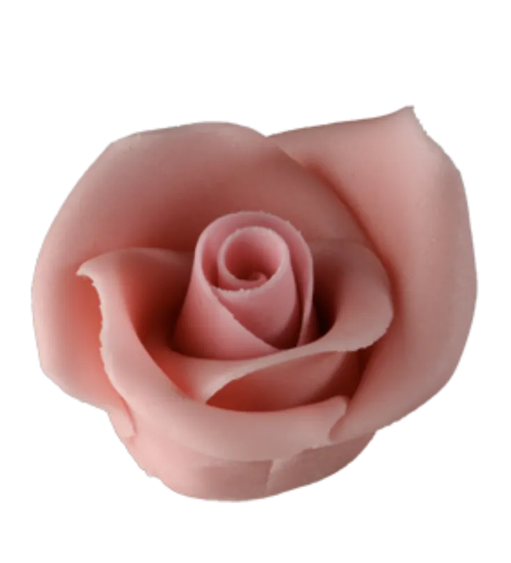 Nagy rózsa rózsaszín