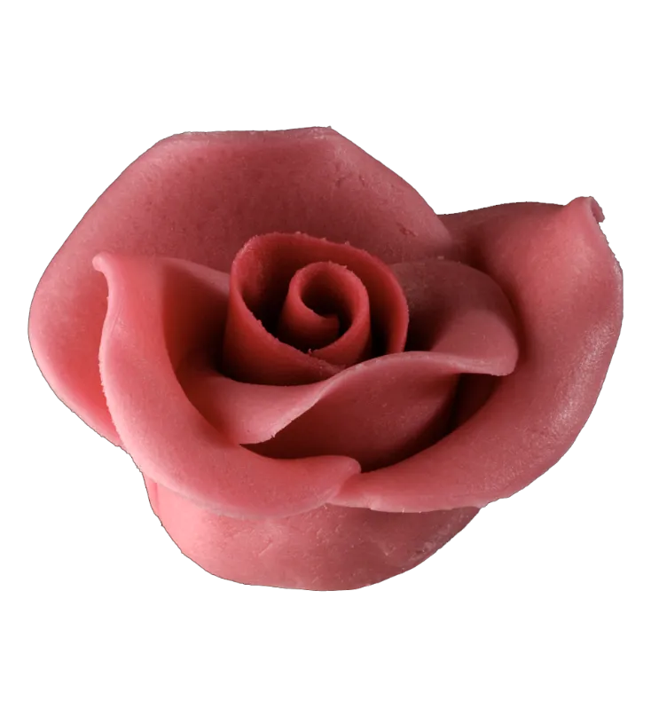 Nagy rózsa ciklámen